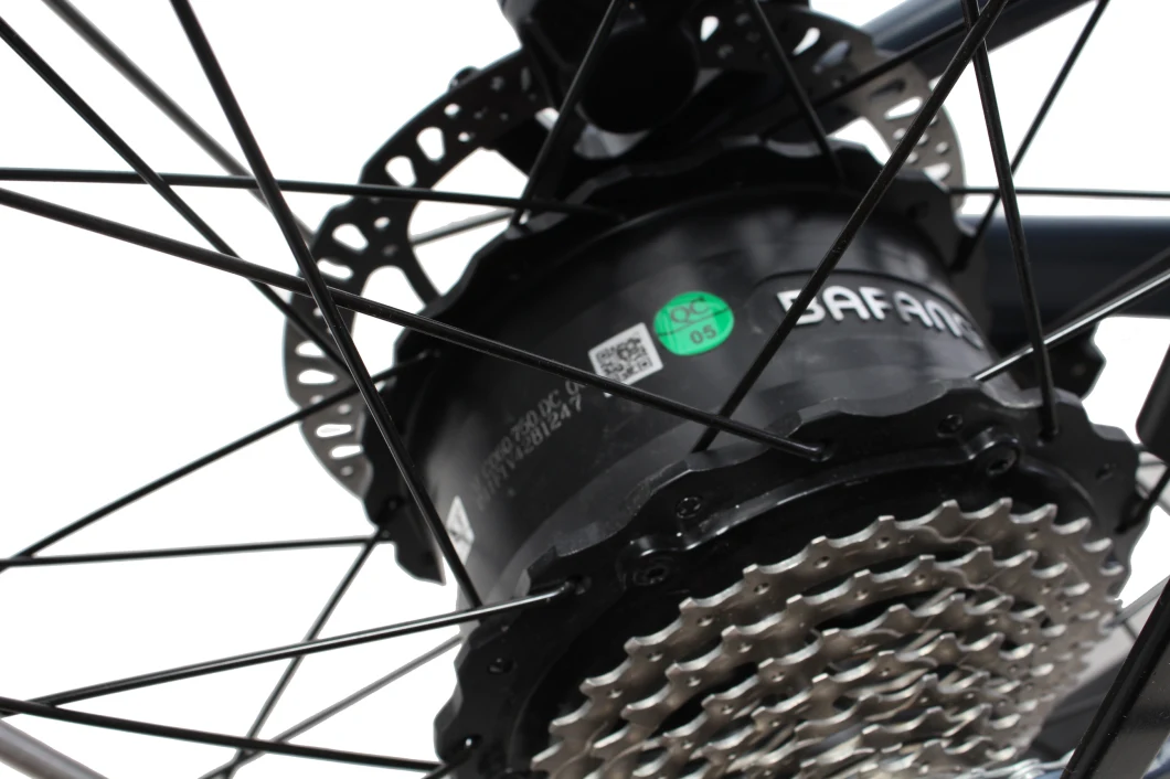 Ebike Fat Tire Shock Absober 1500W BMX MTB Mountain Bike