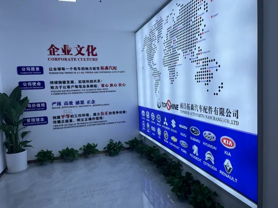 6000022807 Детали подвески автомобиля Конец рулевой тяги для Peugeot