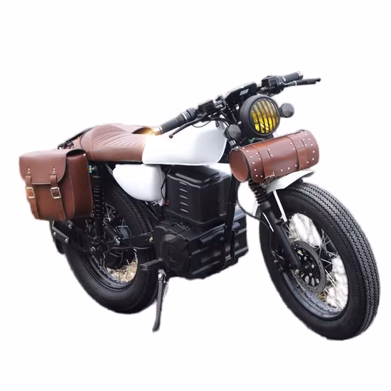 Передняя вилка мотоцикла/амортизатор/телескопическая/подвеска/Barras/Amortiguadore Completa AG100, Italika, Akt, UM, Genesis, Euromot